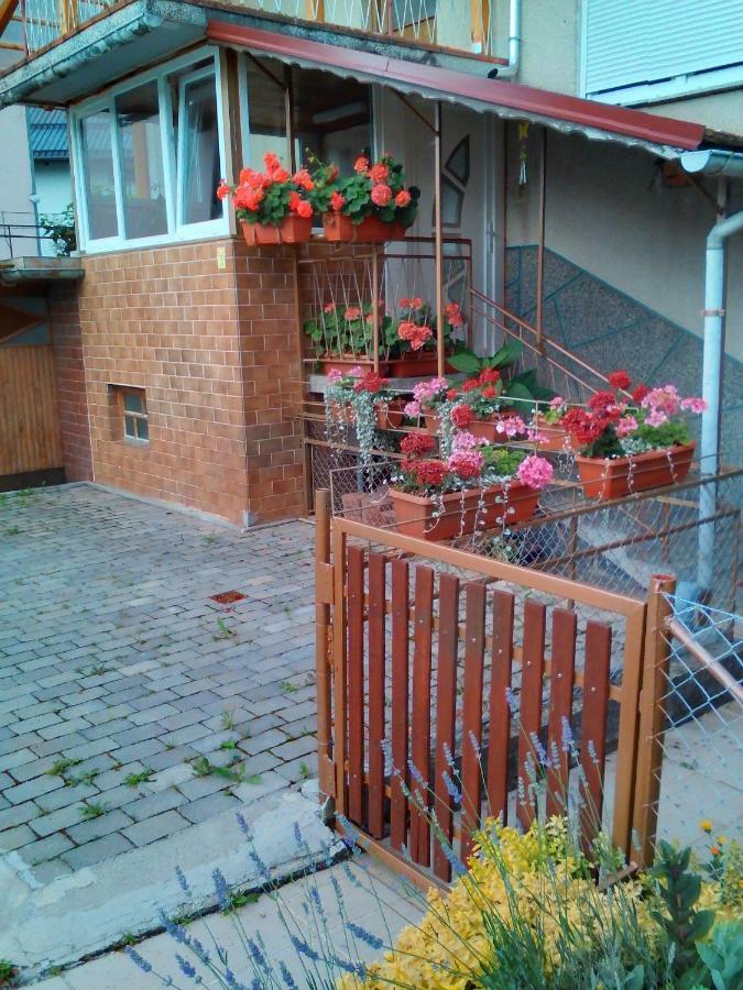 Apartment Janja Vojnik Luaran gambar