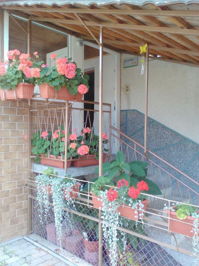Apartment Janja Vojnik Luaran gambar